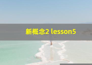 新概念2 lesson5